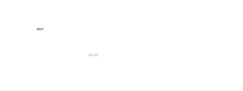 ANVI Salon logo